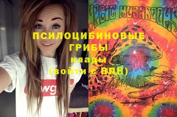 скорость Лиски