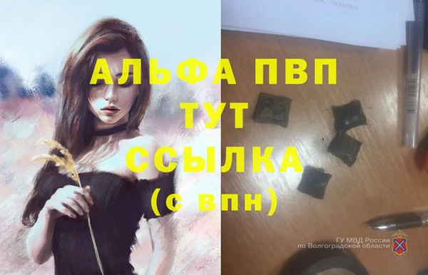 мяу мяу мука Лихославль